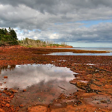 Artwork thumbnail, Red Rocks Beach by Tim Yuan