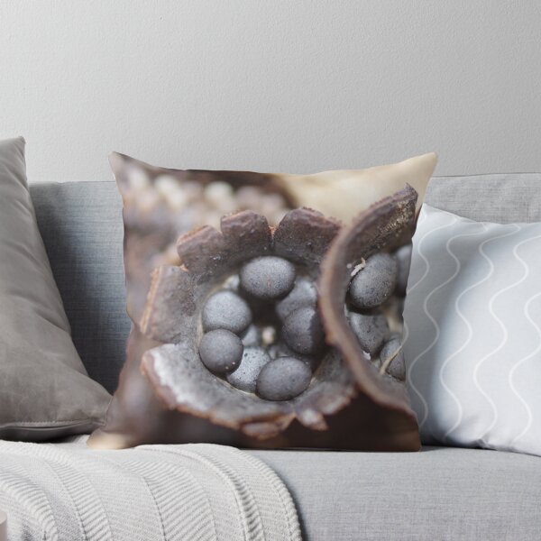 Item preview, Cyathus Stercoreus designed and sold by Helena Bolle.
