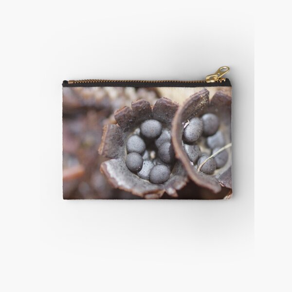 Item preview, Cyathus Stercoreus designed and sold by Helena Bolle.