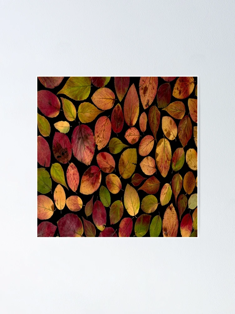 Thumbnail 1 of 3, Poster, Spring designed and sold by Credere.