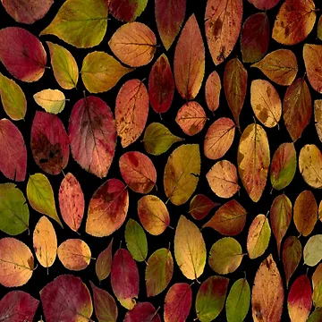 Artwork thumbnail, Spring by Credere