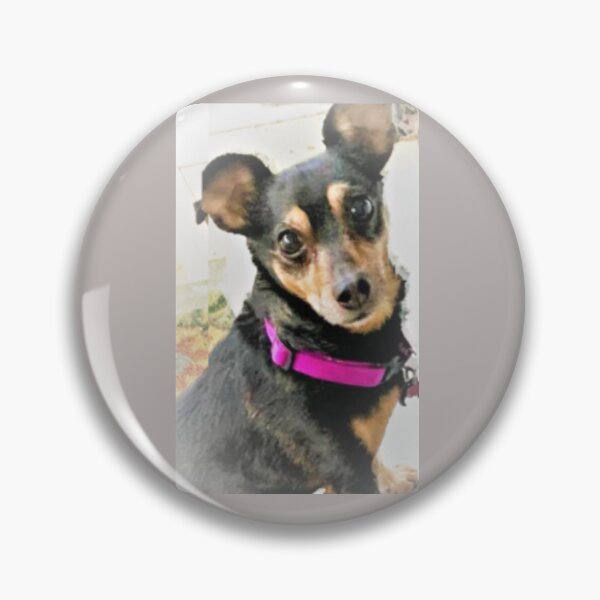 Item preview, Doggone cute! designed and sold by ChaChings.
