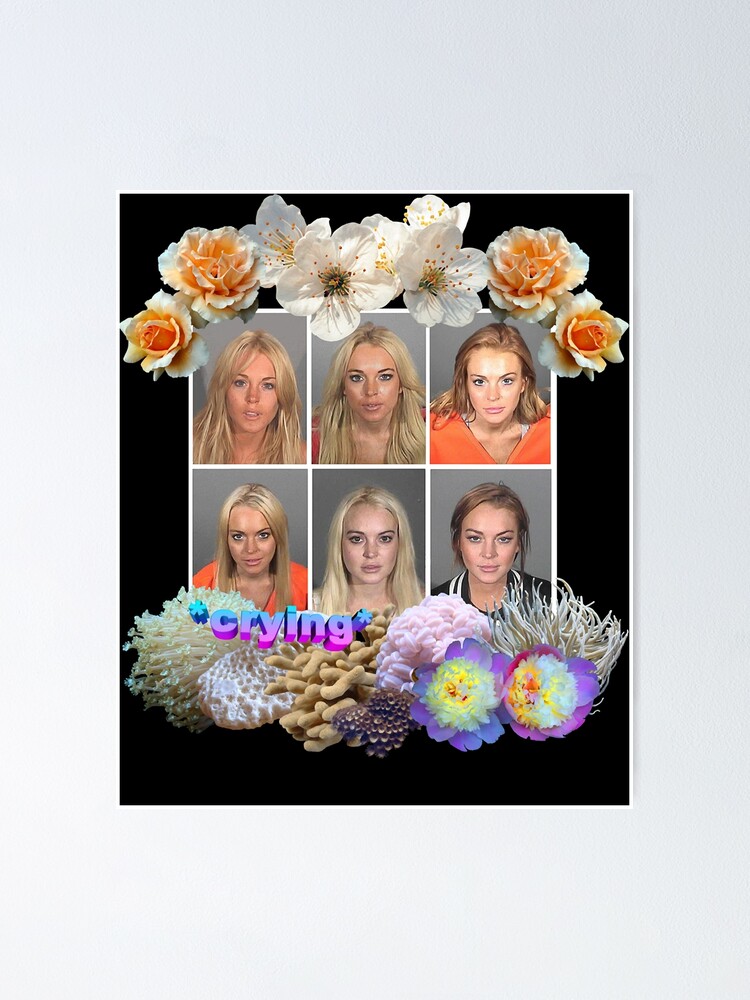Most Important Lilo Mugshot Crying Gifts For Christmas” Poster for 
