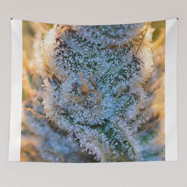 Item preview, Trichome 6 designed and sold by Trichome.
