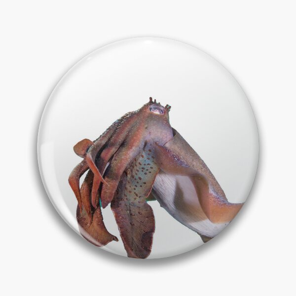 Item preview, Sepia gigante designed and sold by DSly.