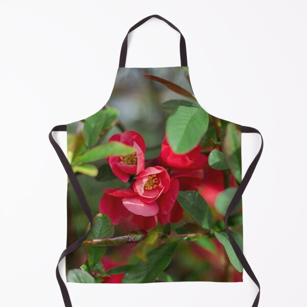 Item preview, Red flowers of blooming Japanese quince on green background in spring season Chaenomeles japonica	 designed and sold by ExploreYK.