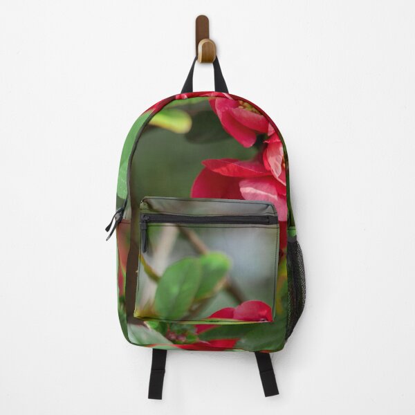 Item preview, Red flowers of blooming Japanese quince on green background in spring season Chaenomeles japonica designed and sold by ExploreYK.