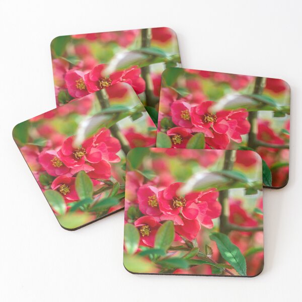 Item preview, Red flowers of blooming Japanese quince on green background in spring season Chaenomeles japonica	 designed and sold by ExploreYK.