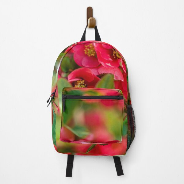 Item preview, Red flowers of blooming Japanese quince on green background in spring season Chaenomeles japonica designed and sold by ExploreYK.