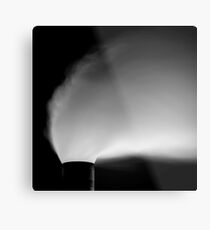 Plumage Metal Print