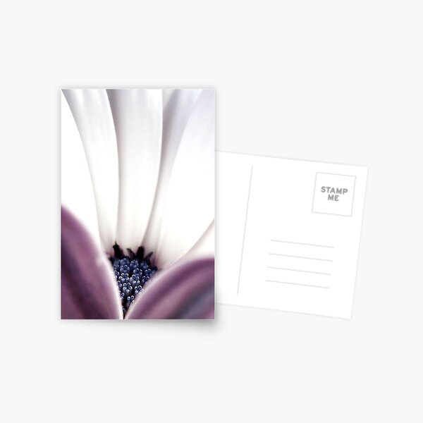 Hidden Postcard
