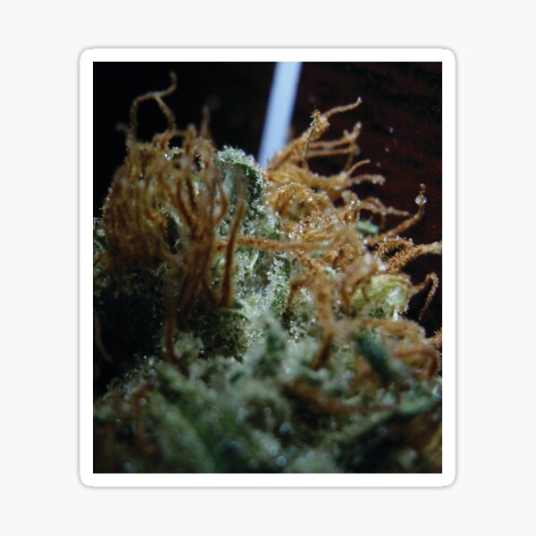 Item preview, Trichome 8 designed and sold by Trichome.