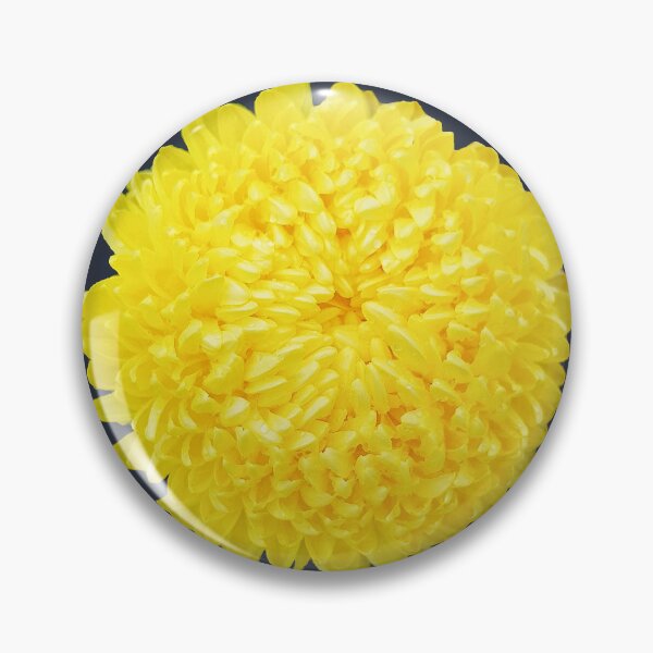Item preview, Yellow Chrysanthemum on Dark Blue Square designed and sold by ellenhenry.