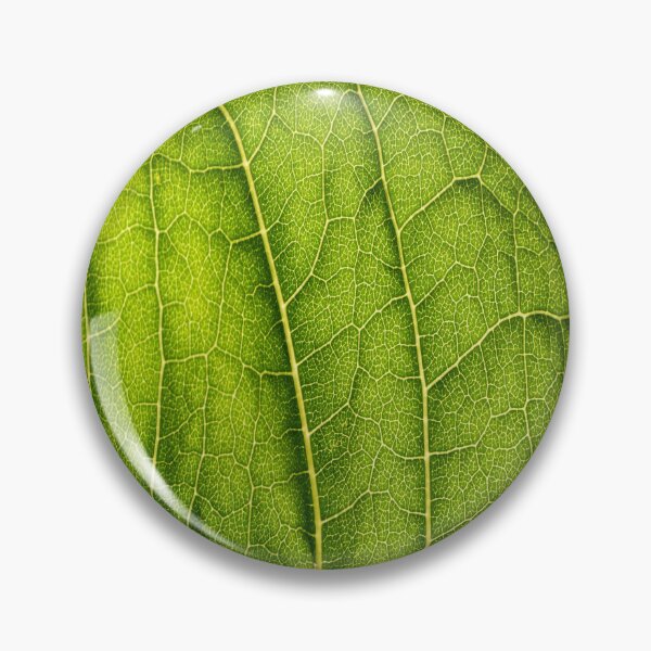 Item preview, Zoom on leaf designed and sold by Credere.