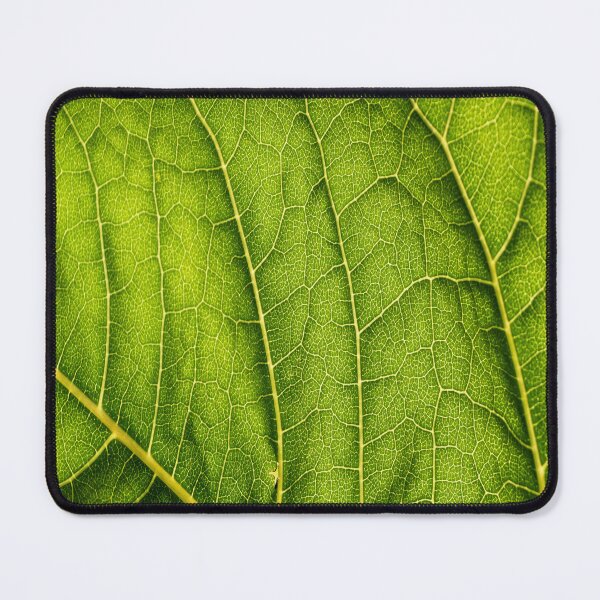 Item preview, Zoom on leaf designed and sold by Credere.