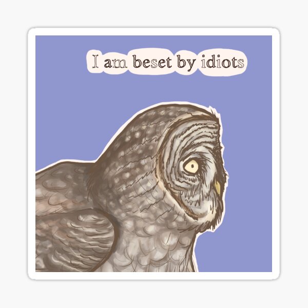 Beset Owl Sticker