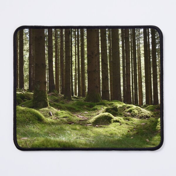 Item preview, Forest with Stone and Moss in Skåne designed and sold by Karen Ekdahl.