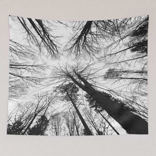 Item preview, Always look up in the forest designed and sold by frankuffmann.