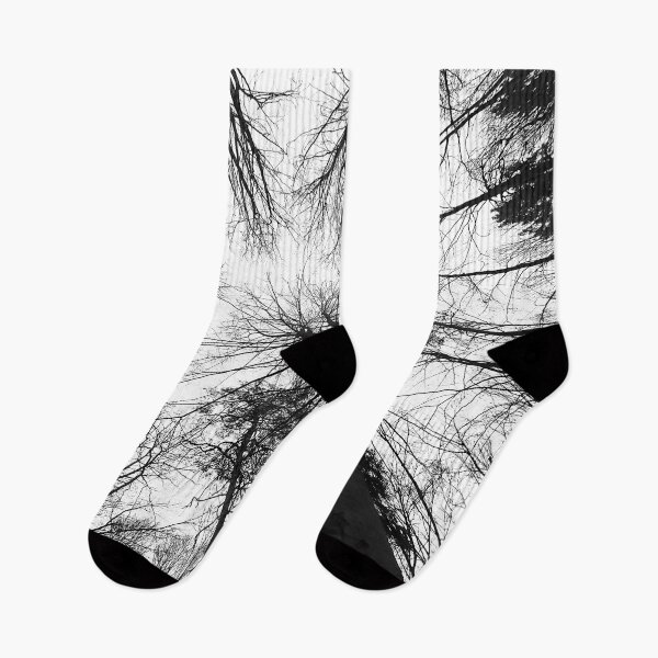 Item preview, Always look up in the forest designed and sold by frankuffmann.
