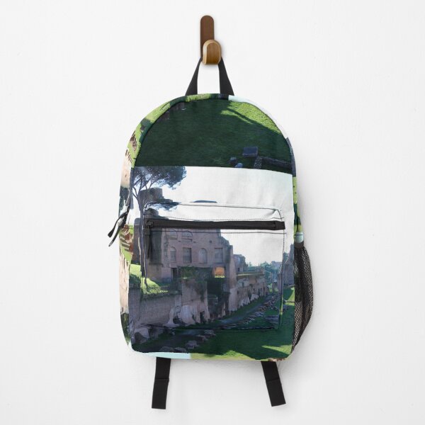 Item preview, Palatine Hill Rome Italy designed and sold by brady4415.