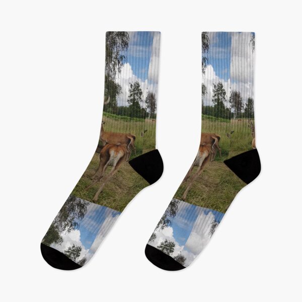 Item preview, Deer, deer, landscape designed and sold by Sternchen2789.