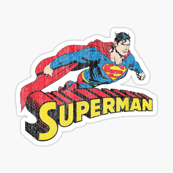 DC19 Sticker
