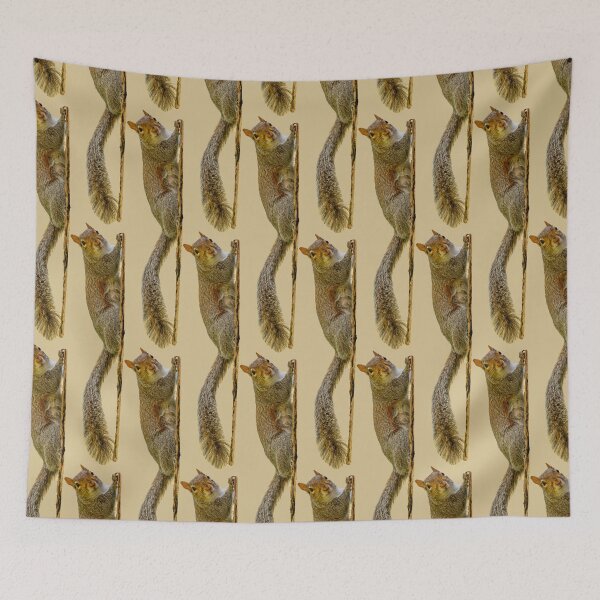 Item preview, I Have my eye on you! have you got nuts? designed and sold by Dalyndigital Photography.