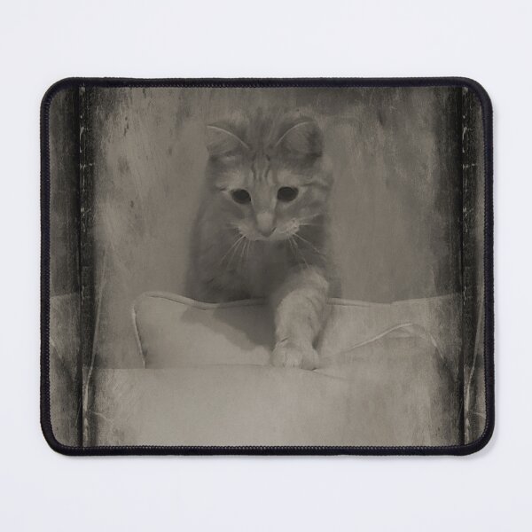 Item preview, Oliver's Classic Cat Vintage Photoshoot  designed and sold by TeachUrb.