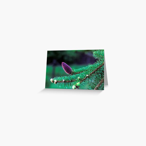 New Cone Greeting Card