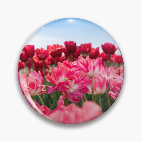 Item preview, Spring has Sprung! designed and sold by AnnoyedMouse.