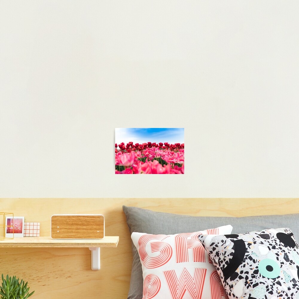 Item preview, Photographic Print designed and sold by AnnoyedMouse.