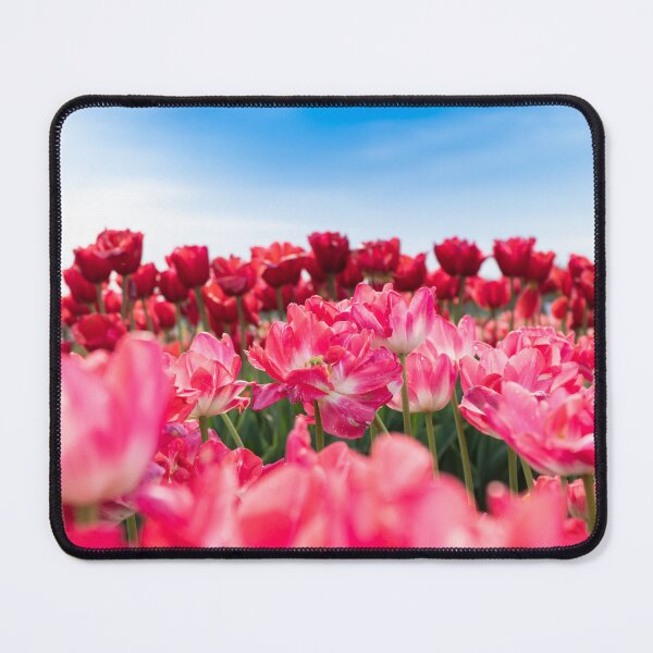 Item preview, Spring has Sprung! designed and sold by AnnoyedMouse.