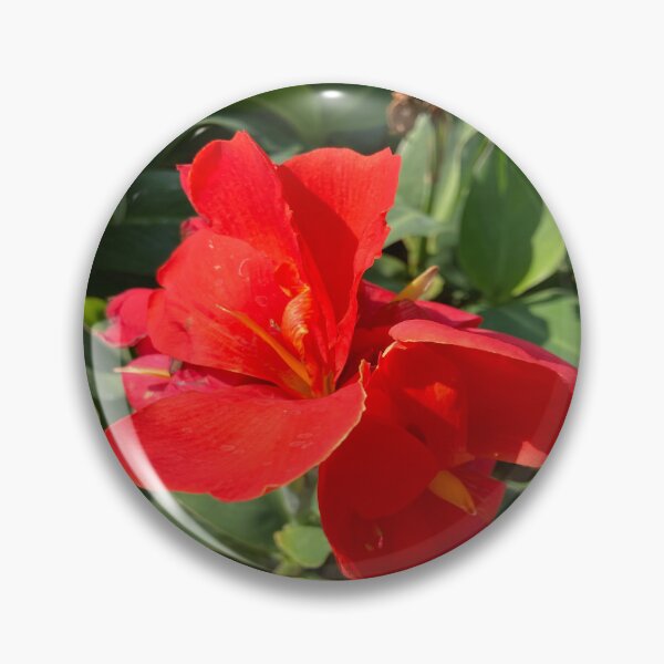 Item preview, Indian Shot - Lalbagh Botanical Garden - Bengaluru designed and sold by Capture  Room.