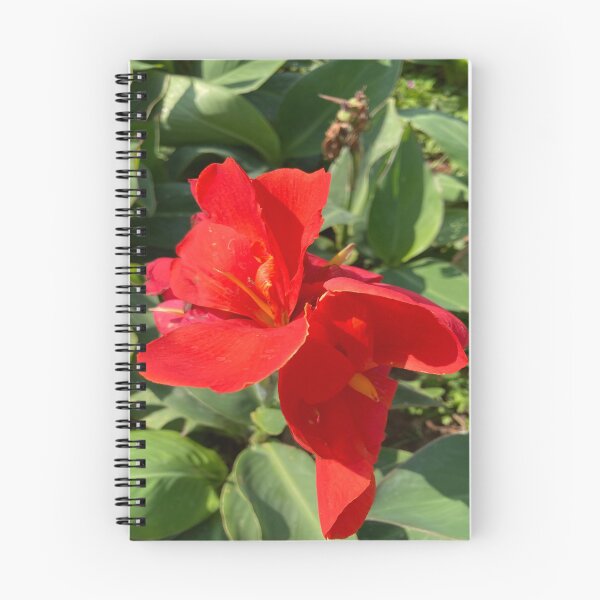 Item preview, Indian Shot - Lalbagh Botanical Garden - Bengaluru designed and sold by Capture  Room.