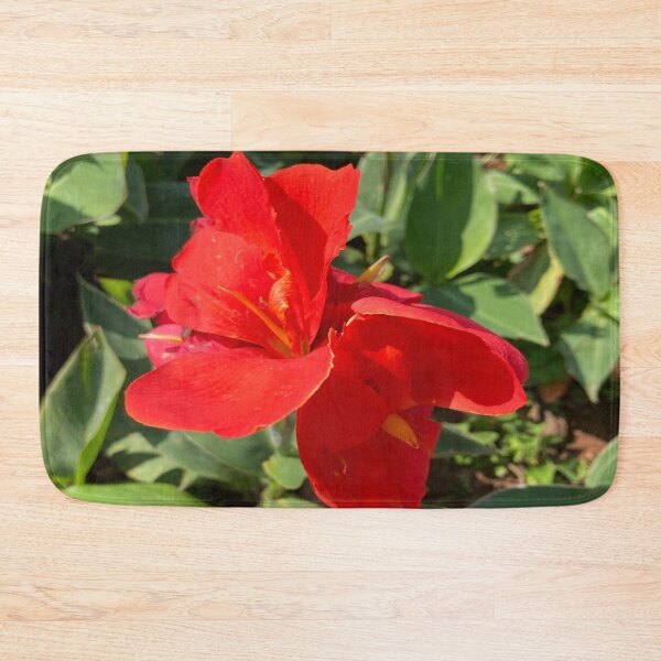 Item preview, Indian Shot - Lalbagh Botanical Garden - Bengaluru designed and sold by Capture  Room.