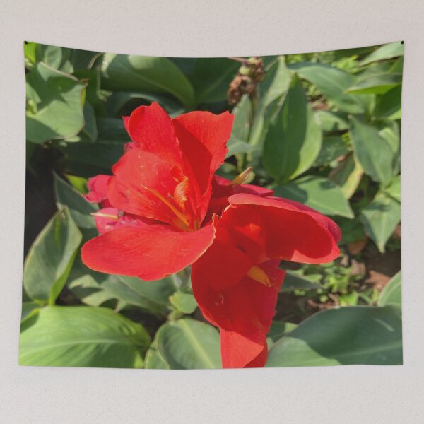 Item preview, Indian Shot - Lalbagh Botanical Garden - Bengaluru designed and sold by Capture  Room.