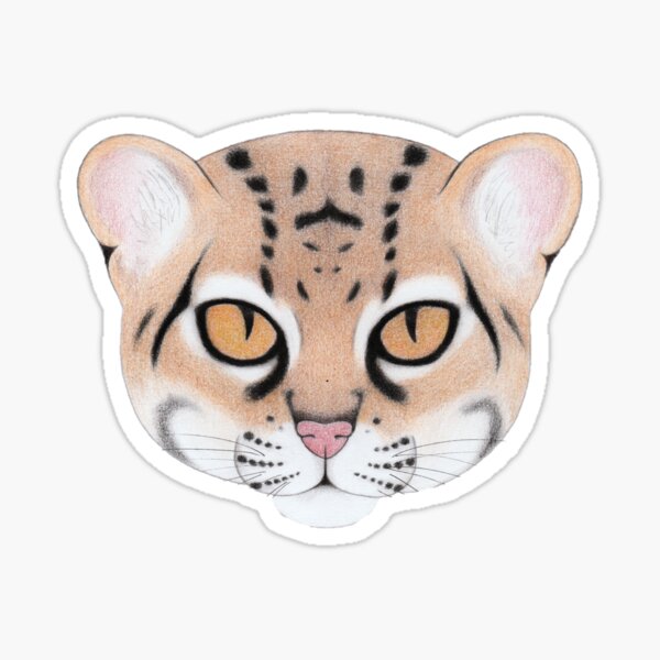 Marbled Cat Sticker