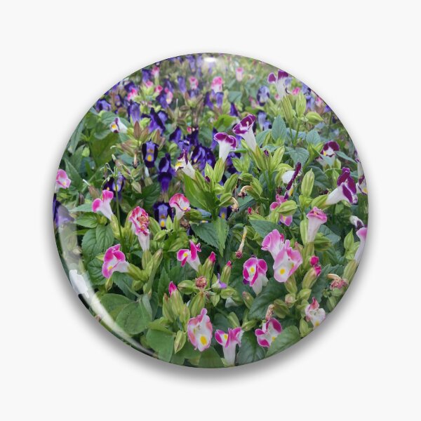 Item preview, Wishbone Flower - Lalbagh Botanical Garden - Bengaluru designed and sold by Capture  Room.