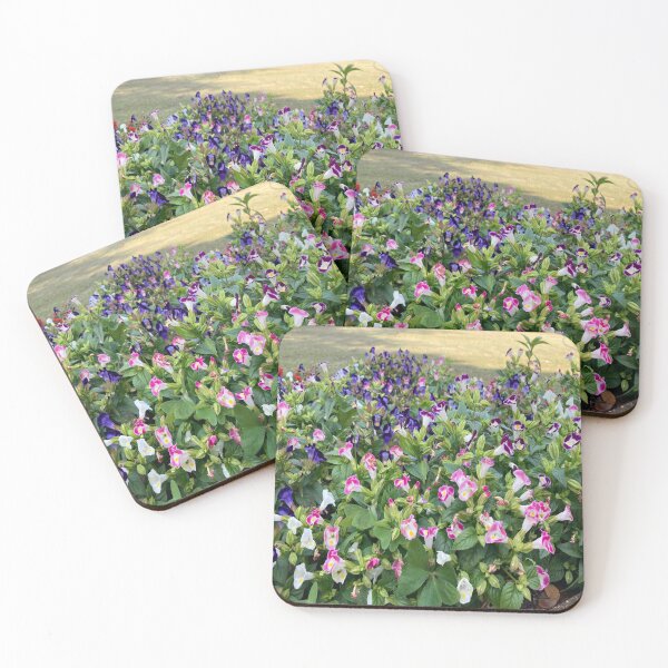 Item preview, Wishbone Flower - Lalbagh Botanical Garden - Bengaluru designed and sold by Capture  Room.