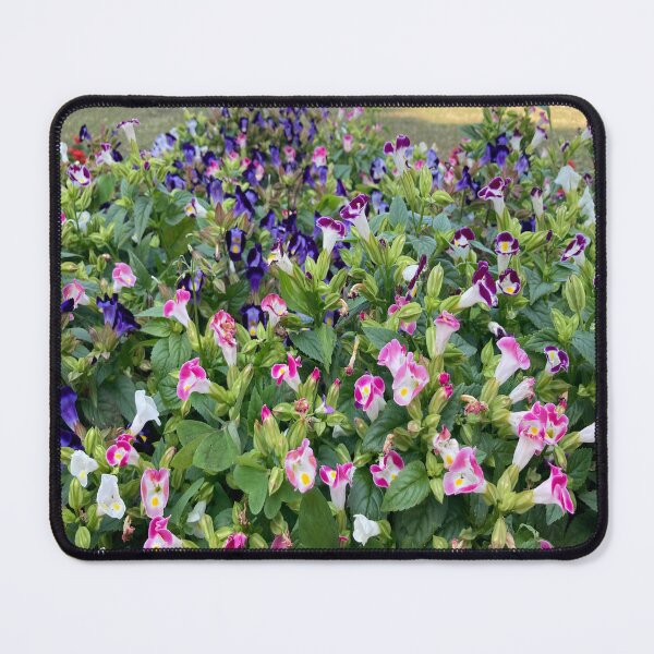 Item preview, Wishbone Flower - Lalbagh Botanical Garden - Bengaluru designed and sold by Capture Room.