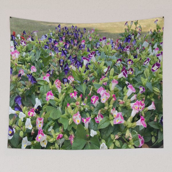 Item preview, Wishbone Flower - Lalbagh Botanical Garden - Bengaluru designed and sold by Capture  Room.