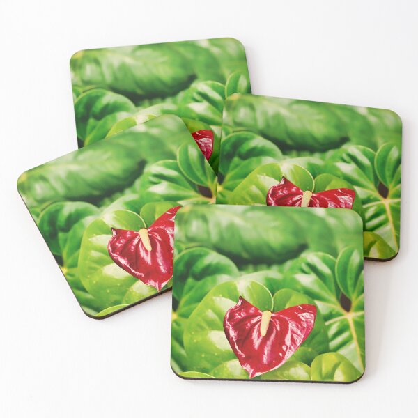 Item preview, A beautiful lone red anthurium standing in a sea of bright green leaves designed and sold by DesignBoard Photography.