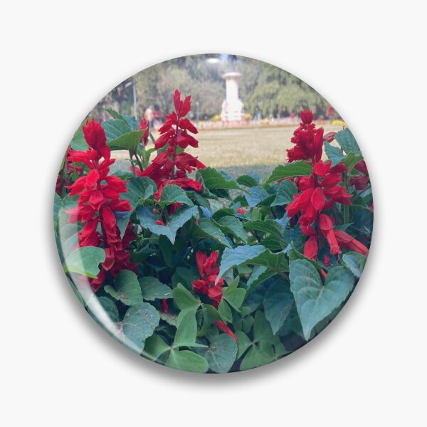Item preview, Salvia Red Flower - Lalbagh Botanical Garden - Bengaluru designed and sold by Capture  Room.