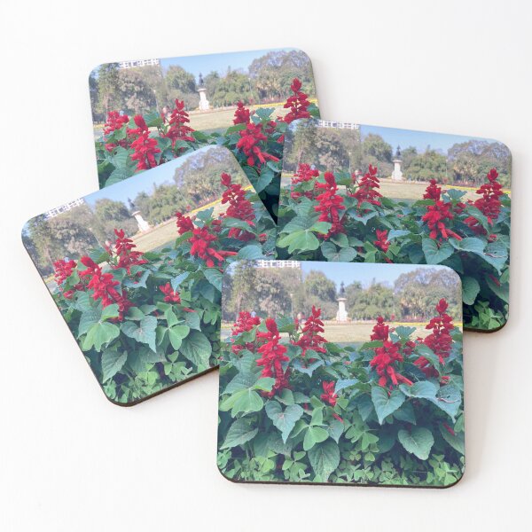 Item preview, Salvia Red Flower - Lalbagh Botanical Garden - Bengaluru designed and sold by Capture  Room.