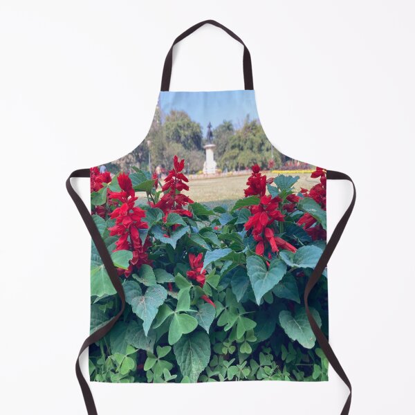 Item preview, Salvia Red Flower - Lalbagh Botanical Garden - Bengaluru designed and sold by Capture Room.