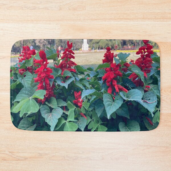 Item preview, Salvia Red Flower - Lalbagh Botanical Garden - Bengaluru designed and sold by Capture  Room.