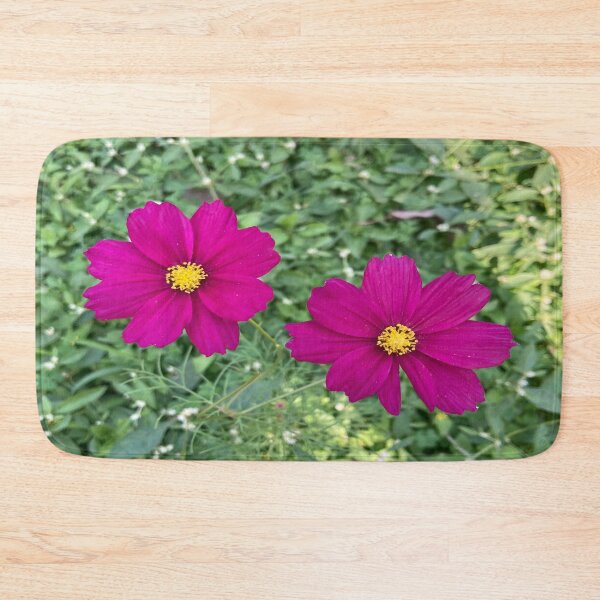 Item preview, Cosmos Flower - Lalbagh Botanical Garden - Bengaluru designed and sold by Capture  Room.