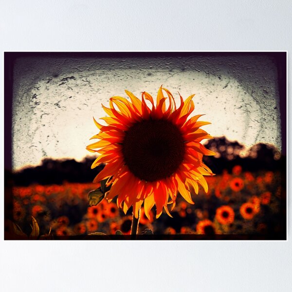 Item preview, Sunflowers Bring Smiles (try it, see...you're smiling) designed and sold by papajimmy.