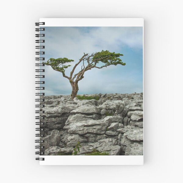Item preview, Juniper tree yorkshire dales designed and sold by eddiej.