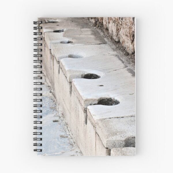 Item preview, Latriana, Ancient Roman Lavatory In Ephesus Turkiye designed and sold by taiche.